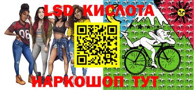 прущие грибы Можга