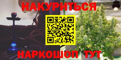 прущие грибы Можга
