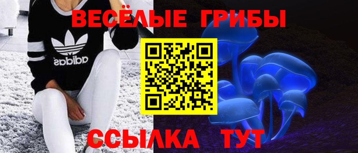 наркотики  Вход с VPN  Ступино  Псилоцибиновые грибы GOLDEN TEACHER 